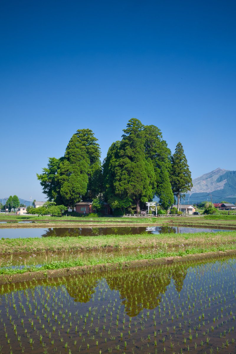 sora__'s tweet photo. 南阿蘇の水田　１　熊本県阿蘇郡南阿蘇村　2026.05.17 を投稿しました https://t.co/j6xYIpn8EV #エキサイトブログ #エキブロ https://t.co/OYTASli9mr