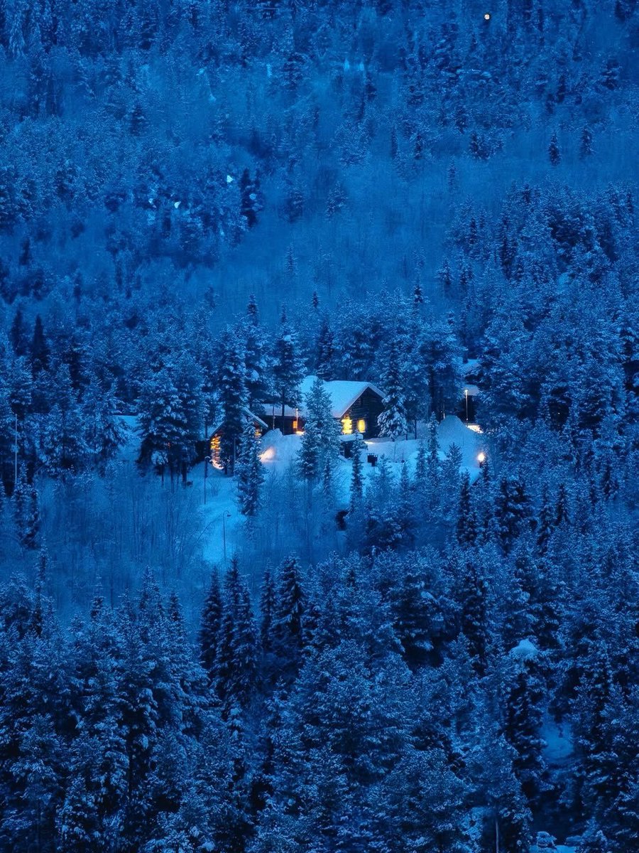 ____flowers__'s tweet photo. Finland https://t.co/fR3ULwgfIn