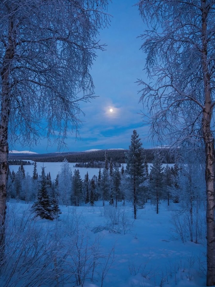 ____flowers__'s tweet photo. Finland https://t.co/fR3ULwgfIn