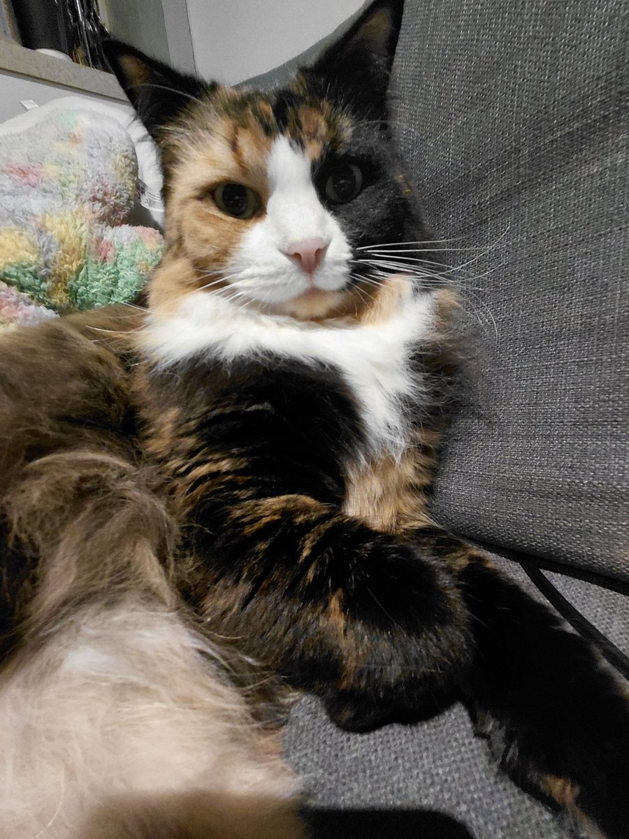 0live_0nline's tweet photo. my wittle babie https://t.co/JES2sbxvR2