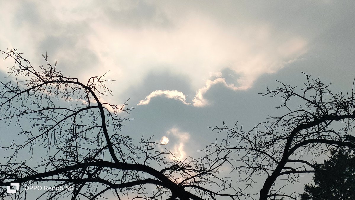 bella_arab63031's tweet photo. Just found my old favorite playlist after a rough day—suddenly the gray skies feel a little lighter. ， https://t.co/p4kZU7QBMy