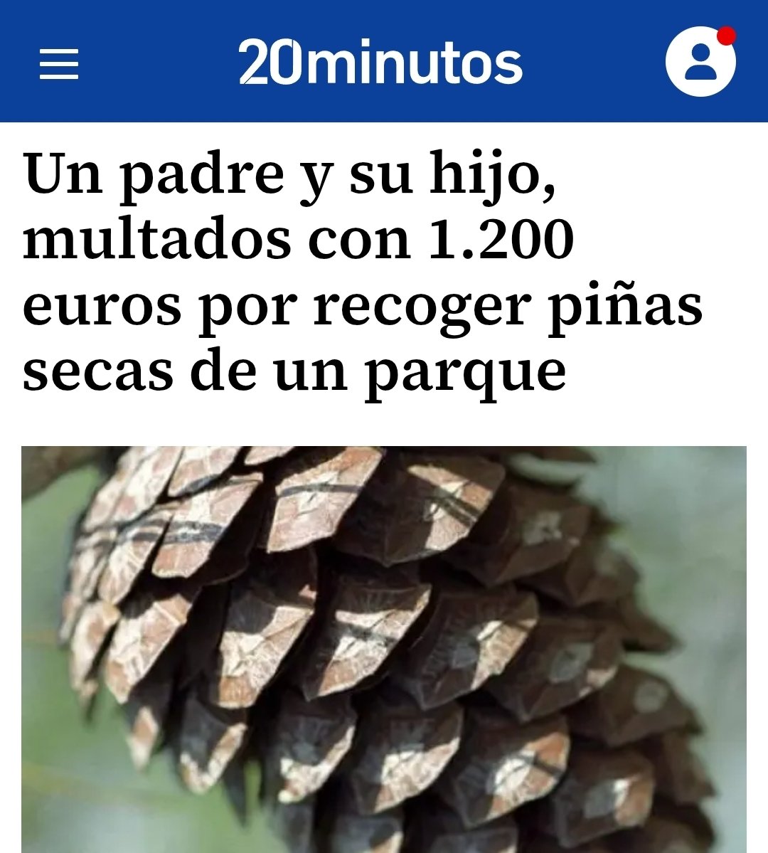A̸Z̸O̸R̸ 🇪🇸 tweet media