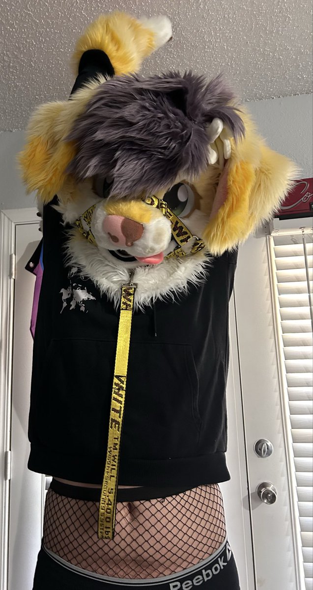 figsthedog's tweet photo. yayyy another milestone; 200 followers !! here’s a little bonus picture of my stretching ~

also thank you guys for the continued support! I really hope I can continue to grow my audience :3

#furry #fursuit #femboy https://t.co/AmSKZollqH