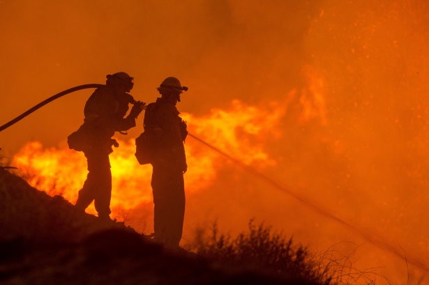 arboles_magicos's tweet photo. Mientras España contempla horrorizada el infierno desatado en nuestros montes, ellos caminan hacia las llamas.

Bomberos forestales, brigadistas, agentes medioambientales, efectivos de la UME, Protección Civil, pilotos, técnicos y voluntarios combaten el fuego entre temperaturas insoportables, humo, agotamiento y un peligro que puede cambiar de dirección en apenas unos segundos. Se juegan la vida para proteger nuestros pueblos, nuestros bosques, nuestros animales y también nuestras vidas.

Ninguna palabra estará a la altura de su valor, pero hoy solo podemos decirlo con toda el alma: gracias. Infinitamente gracias por permanecer frente al fuego cuando todos los demás tenemos que huir.

Sois los héroes de una España que arde, pero que nunca olvidará quién estuvo allí para defenderla.

¡¡¡¡¡¡¡GRACIAS!!!!!!!
