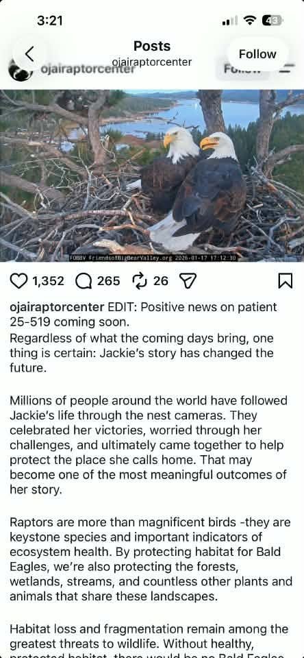 decentralize23's tweet photo. positive news coming soon.  Jackie will Soar.  Expect more big accounts to post so hang on tight. https://t.co/bQJTpvkZVd