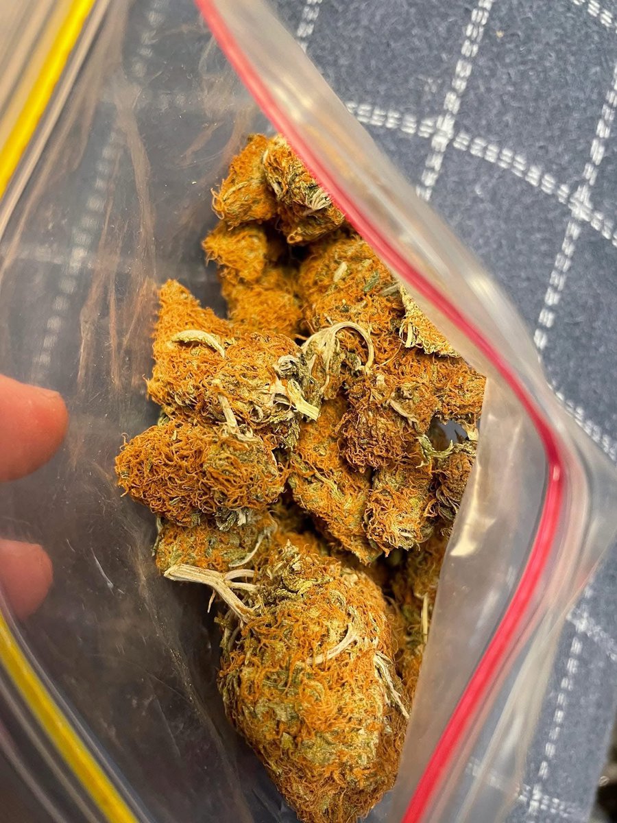 _StonersRUs_'s tweet photo. Would you smoke this or throw it away? 😅 https://t.co/yMTGSetVGz