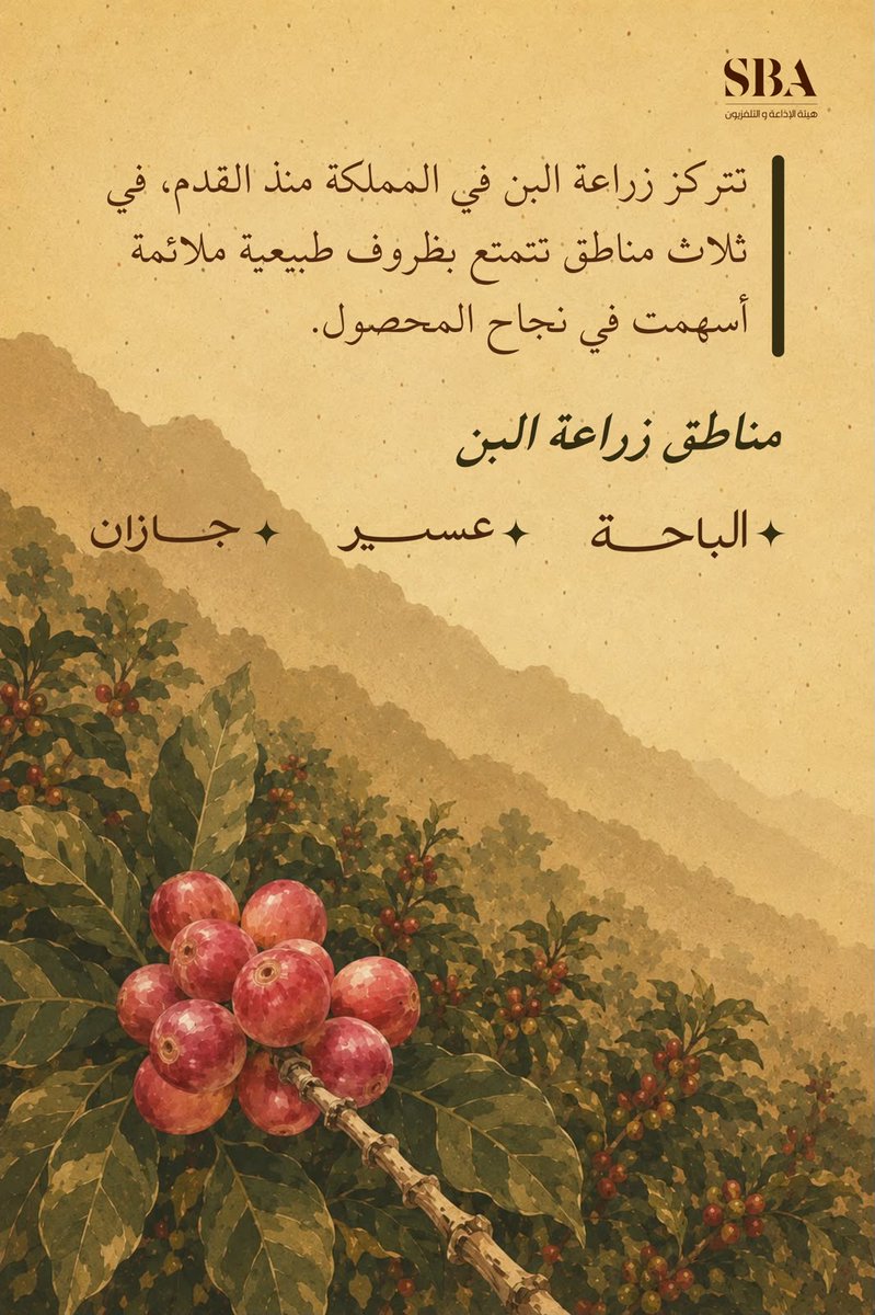 saudiatv's tweet photo. مهد البن السعودي؛ ثلاث مناطق تتصدر زراعة البن في المملكة.

#صيف_ديرتنا
#قناة_السعودية https://t.co/PZSlXwkTBI