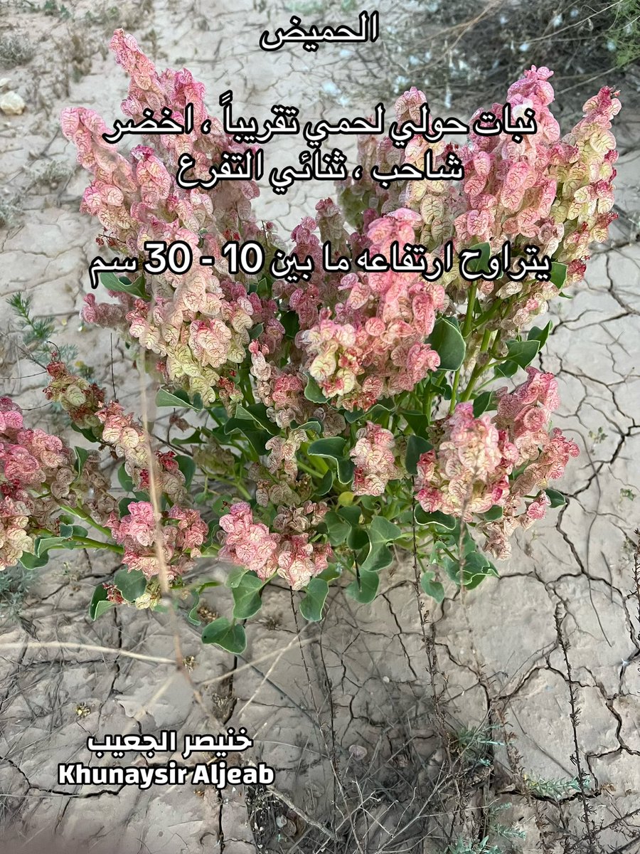 kw_089's tweet photo. https://t.co/OrEvQ0cMjb