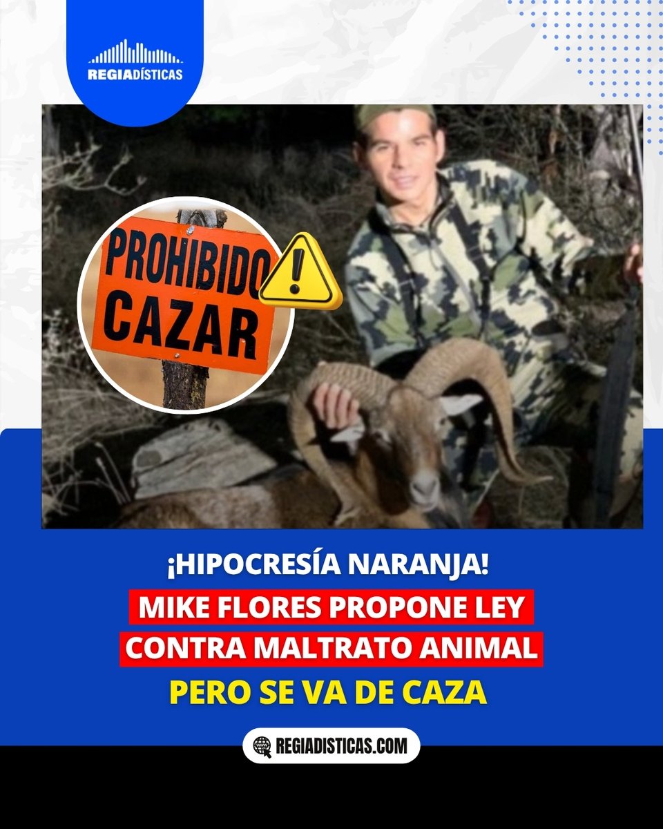regiadisticas's tweet photo. ¡Ahora resulta! 🟠 Mike Flores propone castigar el maltrato animal, pero reaparecen imágenes donde presume que cazó a un borrego y se pasea montado en cabalgatas. 🐴 🎯 La ciudadanía cuestiona el evidente cinismo en el discurso estatal. ❗
Conoce los detalles. 📲 https://t.co/x2x7U9iqYo