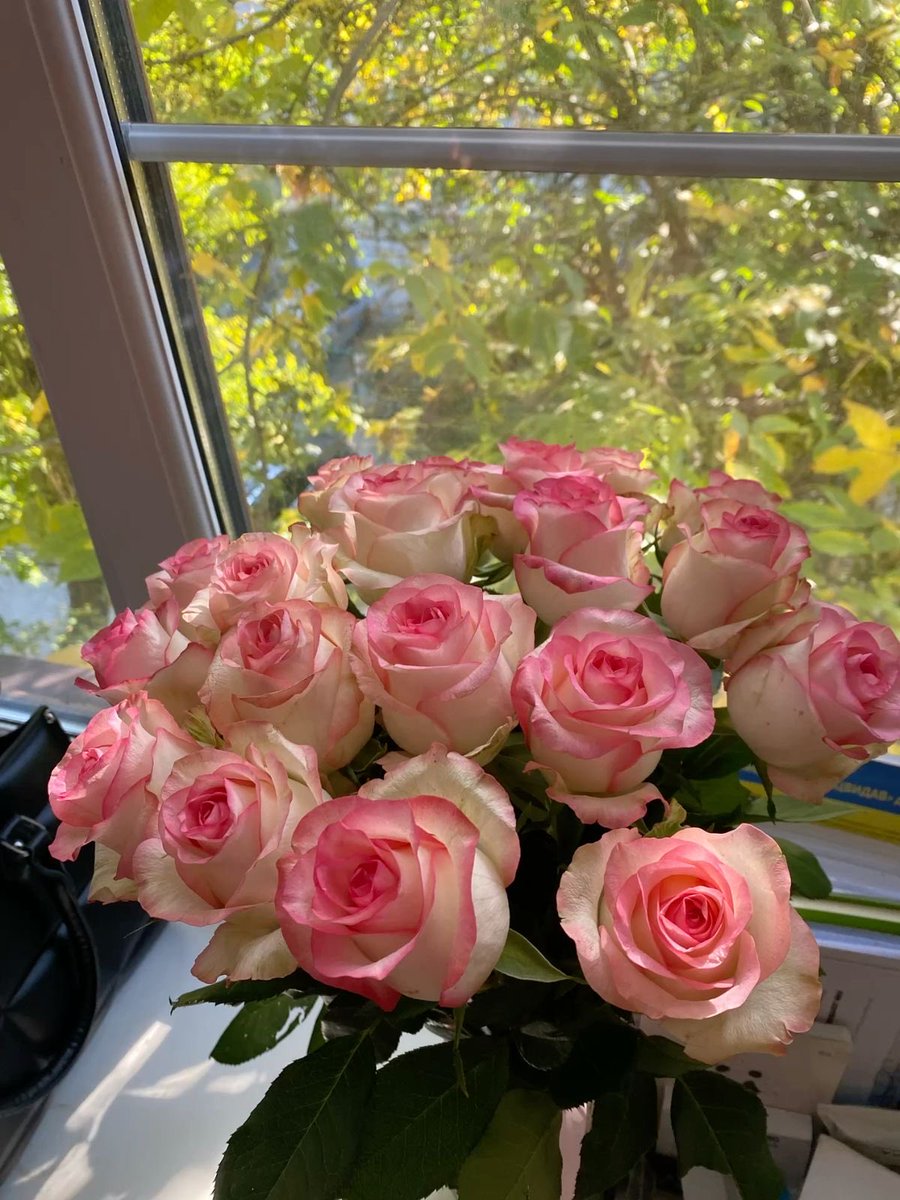 tubatuflwrshop's tweet photo. Flower delivery for: @bhoomikaa_

Flowers: Pink roses, pink tulips and pink hydrageas

💌: Thank you. 

📝: N https://t.co/6Tekkok1nt