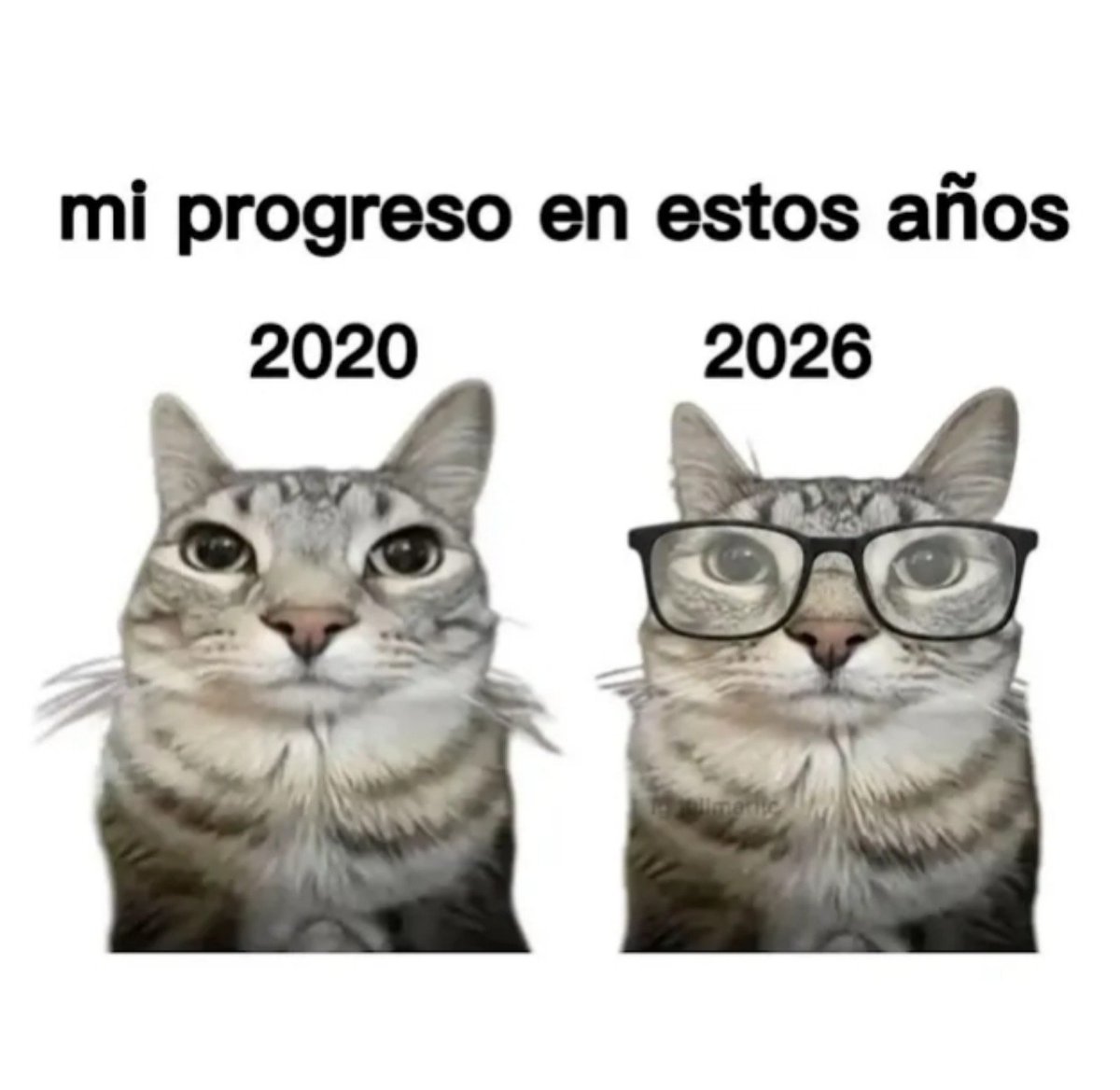 nyx_nyxexe's tweet photo. Mi único progreso en la vida https://t.co/HVPAjbl3TT