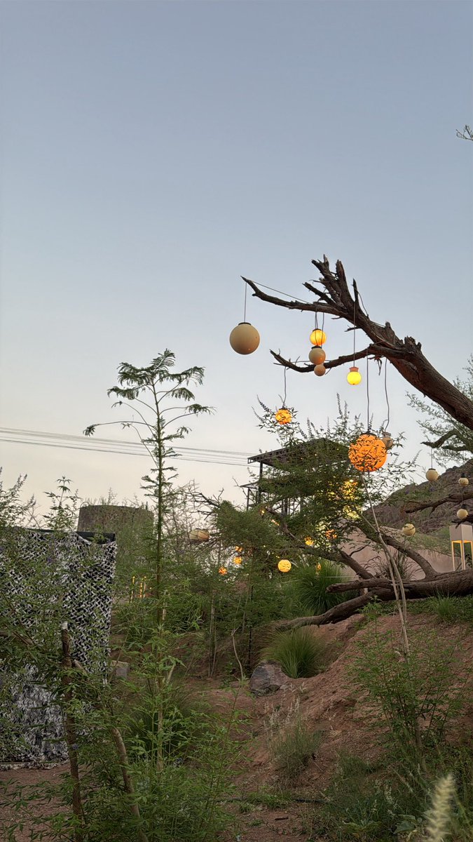 0F16O's tweet photo. 🌻🌻 https://t.co/Sh8PesQ6fl