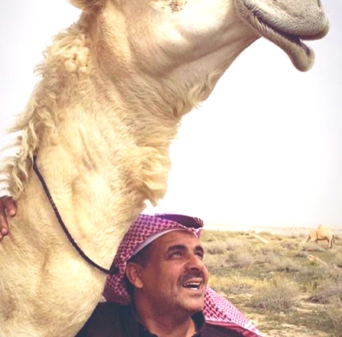 i_36ra's tweet photo. ماني من اللي يتبع المقفين يا نايف
طبعٍ ورثته من اللي مات ماخرّف 

من صد صديت لو هو بالغلا كايف
وان راح جعله مراح الطير لا صرّف https://t.co/zn5Z5qJ6g3