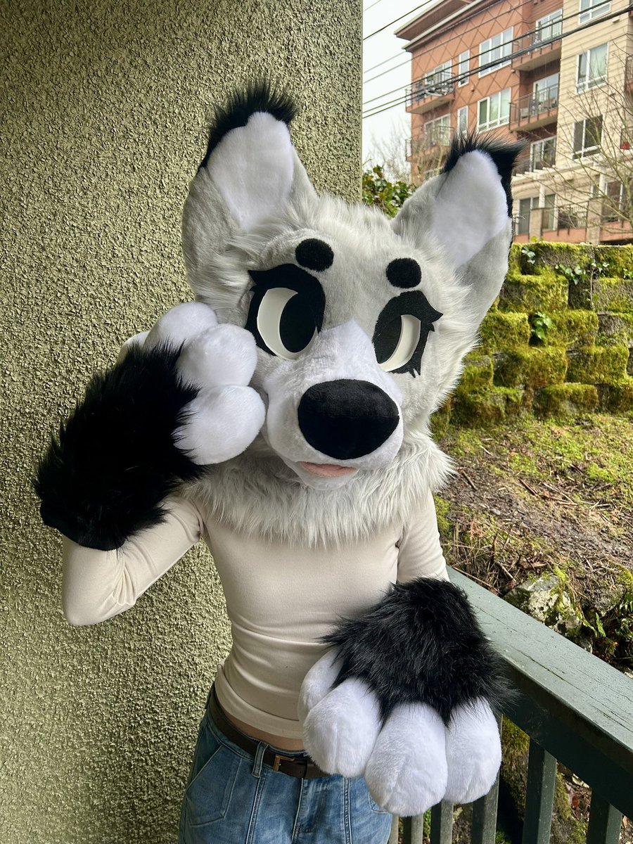 because_fuzz's tweet photo. @BDinodog I have three premades for sale all at discounted prices but also open to monetary offers :) https://t.co/wdEqMPwCNc