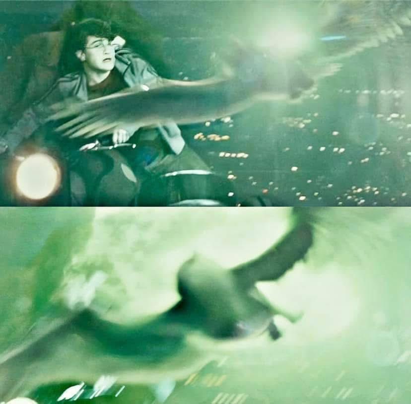 Club Potterhead. tweet media