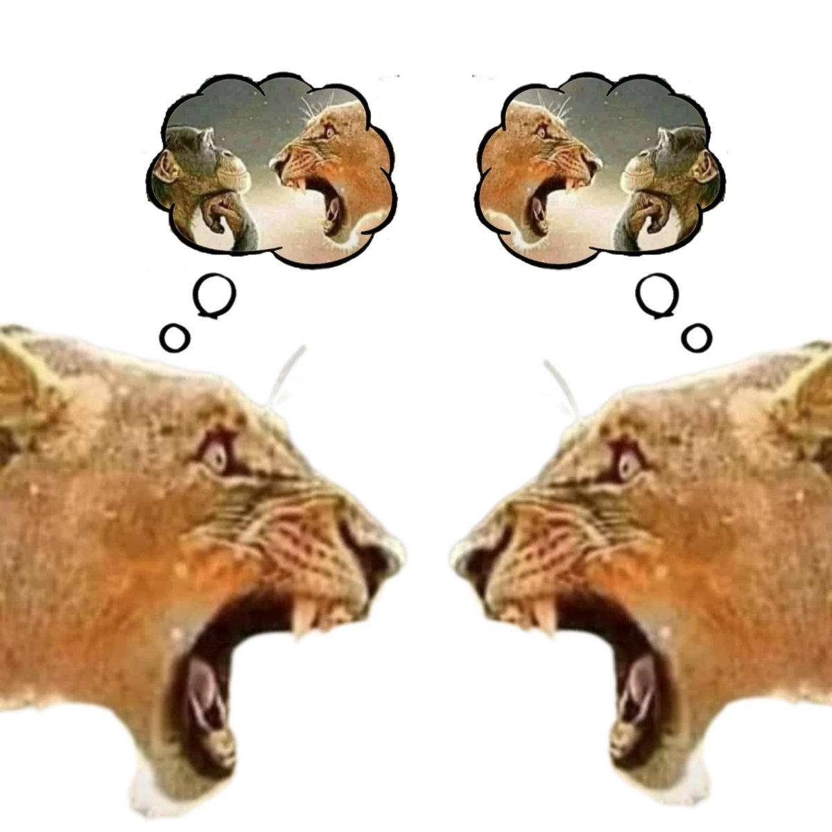 HeatChequeGod tweet picture