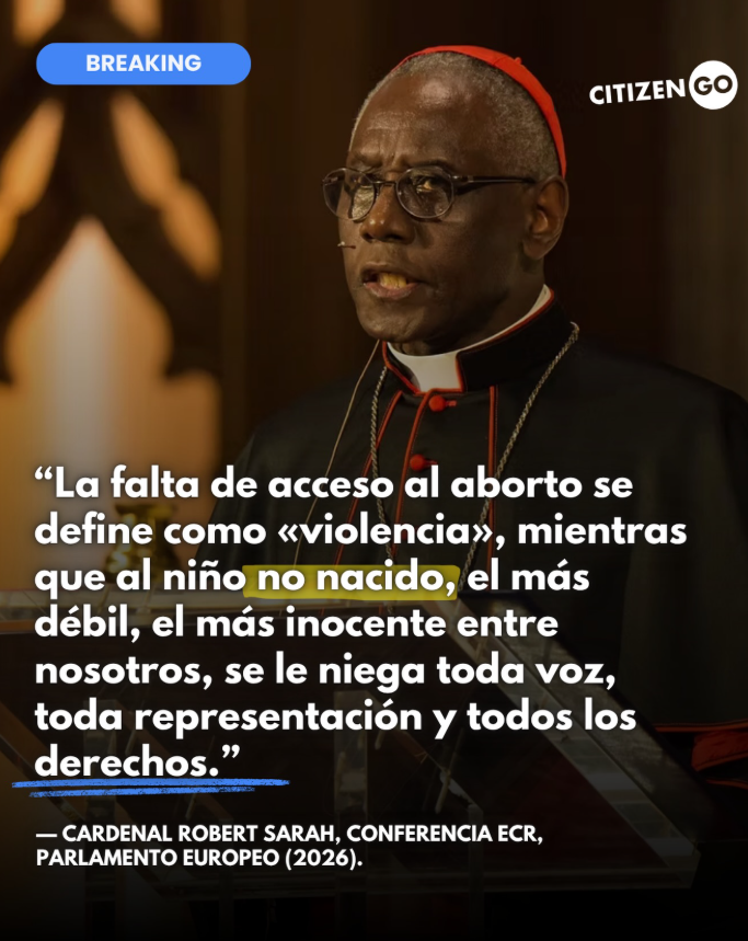 CitizenGOar's tweet photo. Cuántos de nosotros nos atreveríamos a decir en voz alta, frente a quienes mandan, lo que todos saben pero casi nadie se atreve a nombrar?

El cardenal Sarah lo hizo.
Sin filtros. Sin miedo.
En el mismo corazón del poder europeo. 

No buscó aplausos. Buscó la verdad. https://t.co/yNO3SymEH2