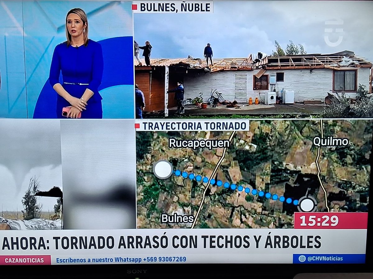 CAlrescate's tweet photo. Que Guapasisima Alison, Inteligente hizo un paralelo de como los gringos manejan el tema de los Tornados, se pego flor de Intro. Esta si que es Gringa!!! , no como la del @mega Además criticó fuertemente la falta de tecnología
#seca 
#chvnoticias 
#contigoendirecto 
@chilevision https://t.co/bXNtNvdEhm