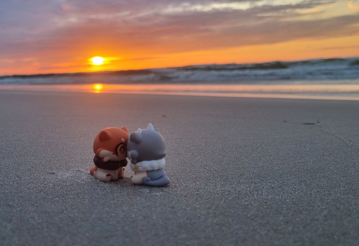 kamikoviolet's tweet photo. Coconut and fig stew kissing in the sunset 😩☀️ https://t.co/NHOERAPmAv