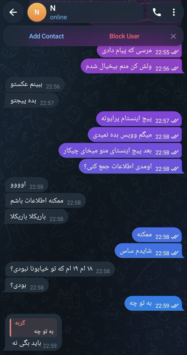 گربه 🇮🇷 tweet media