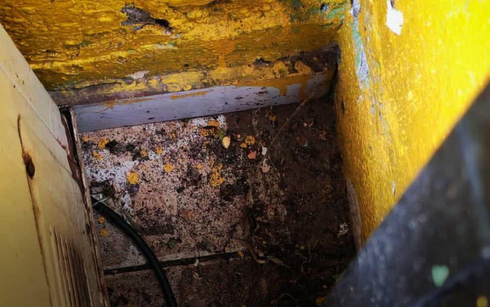 radio_pichincha's tweet photo. ⭕️ #ATENCIÓN | Un local de fritada en #Pomasqui fue clausurado por @Arcsa_Ec luego de hallar cucarachas vivas, insectos muertos en congeladores y graves deficiencias sanitarias. La entidad informó que el establecimiento permanecerá cerrado hasta corregir las irregularidades.
#LaRadioDeLasNoticias