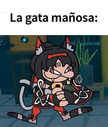 Modokip1's tweet photo. @CausabooMarron Al final terminó siendo una opción válida, aún así la maldecire mil veces cada que pierda el 50/50 con la maldita gata https://t.co/optSvDKmsF