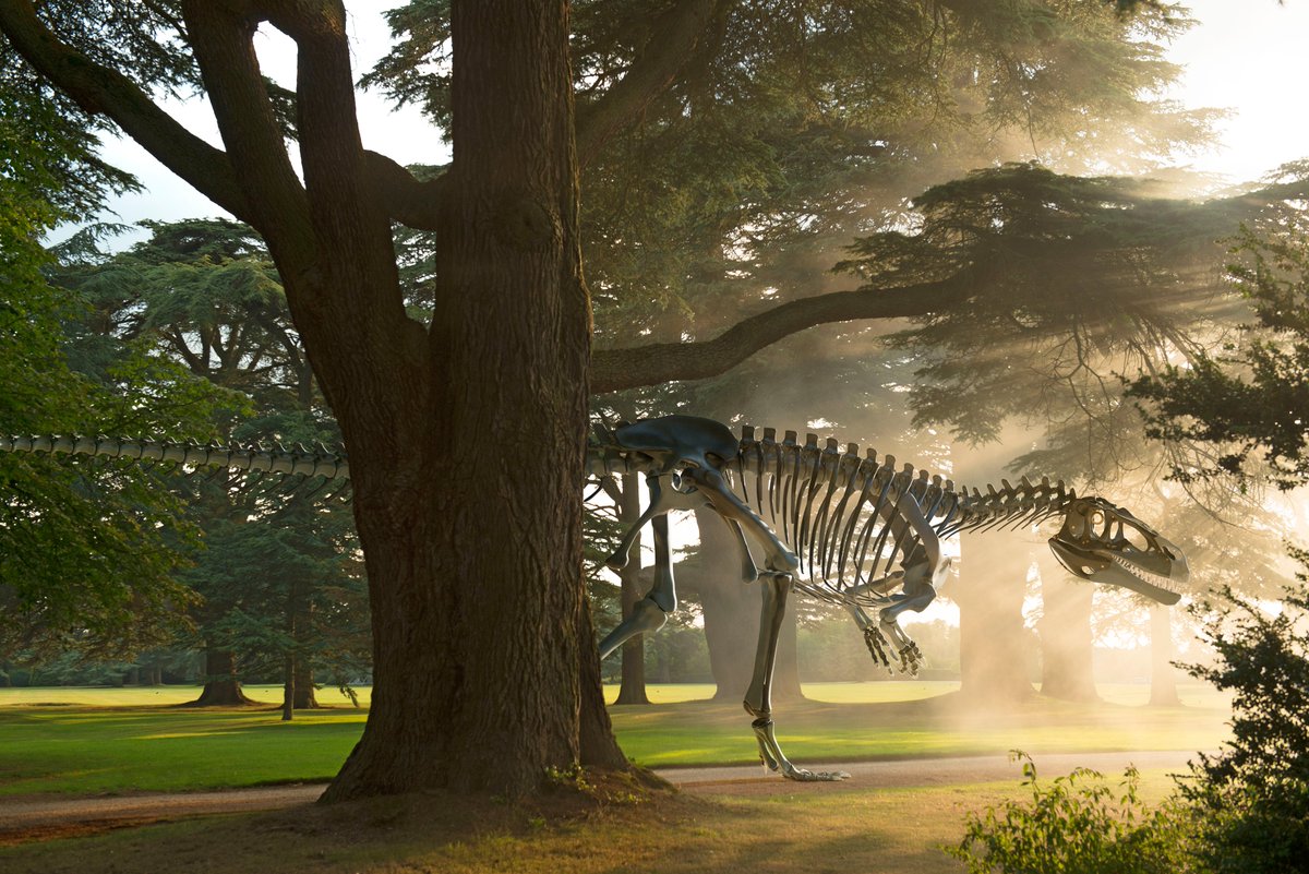 Sketchy_raptor's tweet photo. The first wave of the Futue Fossils Megalosaurus skeletons will be making their debut in the Blenheim Palace gardens, from August 10th to November 1st 2026. 

Book now to see one of the coolest dinosaur projects I've ever been a part of!

https://t.co/vowuN8ltRk

🦖🦴🤖🦿

(6/6) https://t.co/tse9uIrjLg