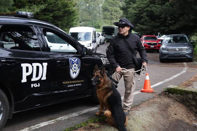 siete_letras's tweet photo. Dejaron MORIR a Boss, perro de la @FiscaliaCDMX:

Sufrió una torsión gástrica y tardaron en llevarlo al Veterinario porque claro, no hay veterinario en PDI.

Boss ayudaba a buscar personas y cuerpos, pero vivía en la azotea de PDI (como otros K9) sin paseos y encerrado. https://t.co/P2JspluO57