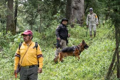 siete_letras's tweet photo. Dejaron MORIR a Boss, perro de la @FiscaliaCDMX:

Sufrió una torsión gástrica y tardaron en llevarlo al Veterinario porque claro, no hay veterinario en PDI.

Boss ayudaba a buscar personas y cuerpos, pero vivía en la azotea de PDI (como otros K9) sin paseos y encerrado. https://t.co/P2JspluO57
