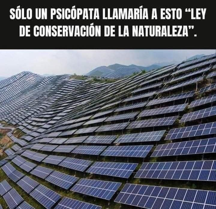 Chema_Leiva's tweet photo. https://t.co/aMngm4qj2Q