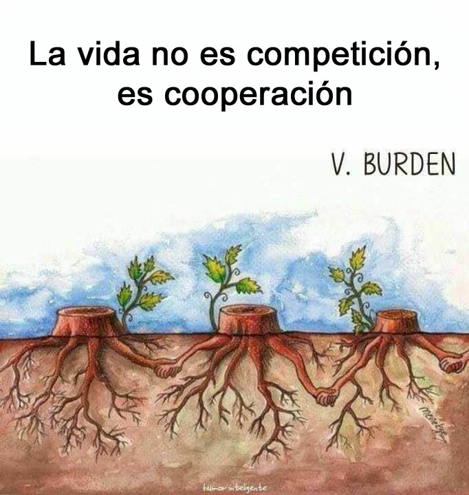 EcoInventos's tweet photo. 🌳 ¡La naturaleza tiene mucho que enseñarnos! 🤝💚 https://t.co/LbzLy1vpCY
