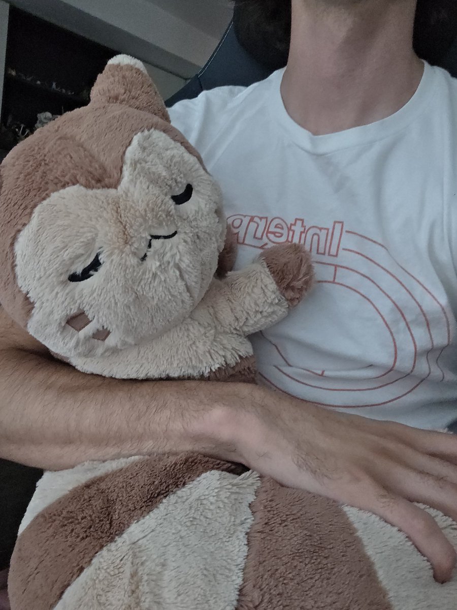 queretarogothic's tweet photo. furret does help a bit https://t.co/ktMH0cvGYm