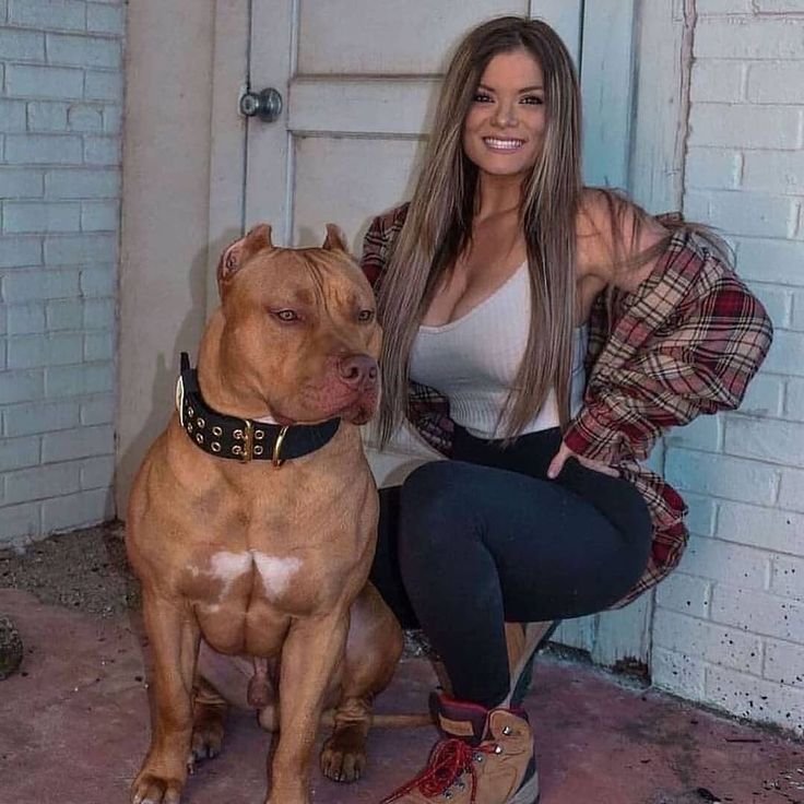 joepeace25's tweet photo. Once I'm with him I feel completely whole 🐶💗
Hi dog lover 😍 
https://t.co/mS7aAWFbR6
#Dogs https://t.co/zUkmMZ3d5J