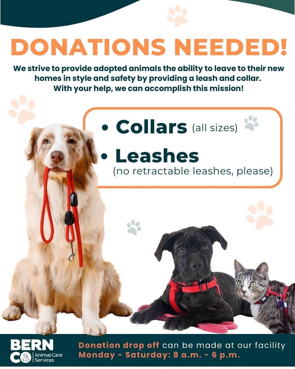 Golden retriever holding a red leash in its mouth, a black puppy with a red collar, and a gray tabby cat wearing a harness, all pictured with a donations request for collars and leashes.