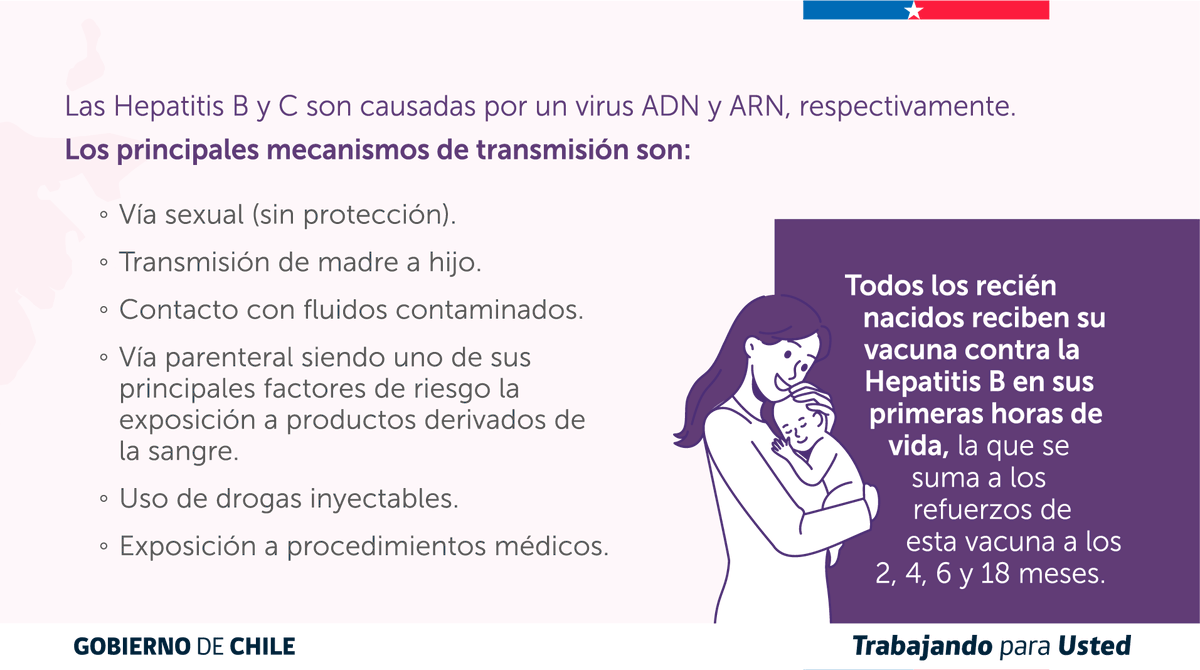 ministeriosalud's tweet photo. En el Día Mundial contra las Hepatitis, te recordamos que tanto la B como la C son parte de las Garantías Explícitas en Salud, la que considera prestaciones de atención de especialistas y terapias farmacológicas, garantizadas por ley. https://t.co/U9kuIxYM9W