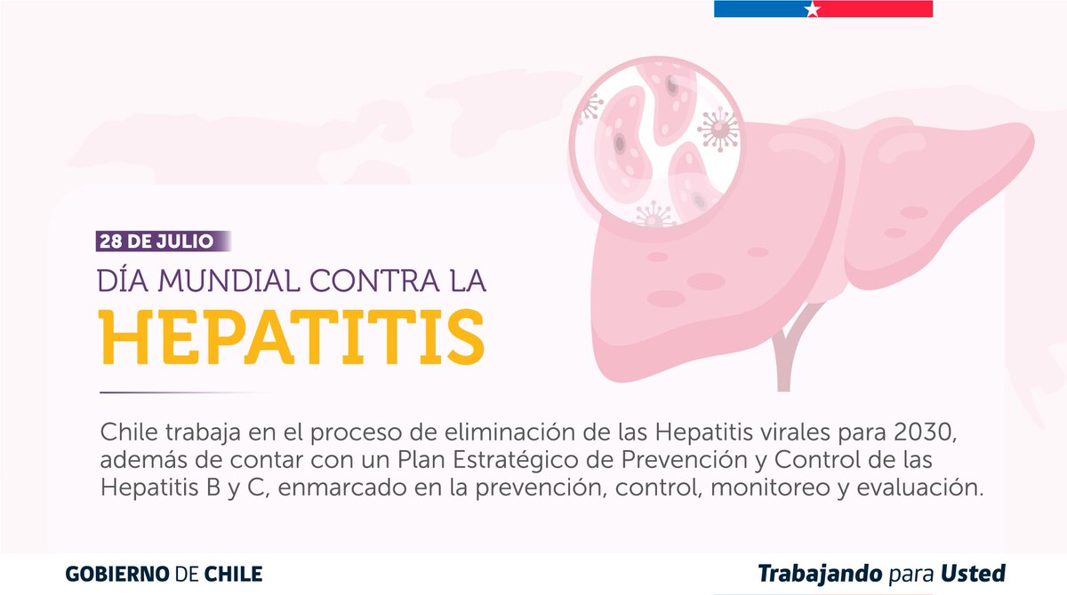 ministeriosalud's tweet photo. En el Día Mundial contra las Hepatitis, te recordamos que tanto la B como la C son parte de las Garantías Explícitas en Salud, la que considera prestaciones de atención de especialistas y terapias farmacológicas, garantizadas por ley. https://t.co/U9kuIxYM9W