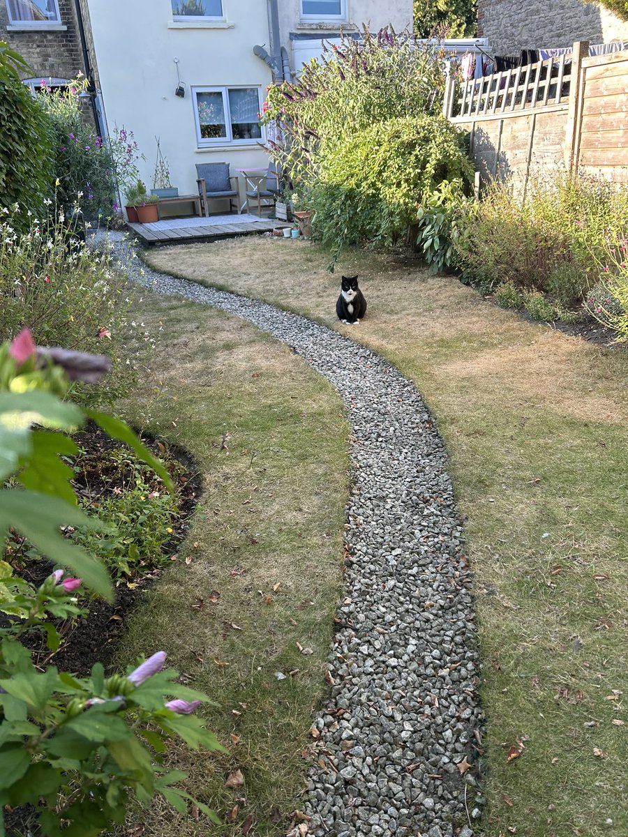Ozzybop along with me🌈❤️and Percy(pop) 😻🐾 tweet media