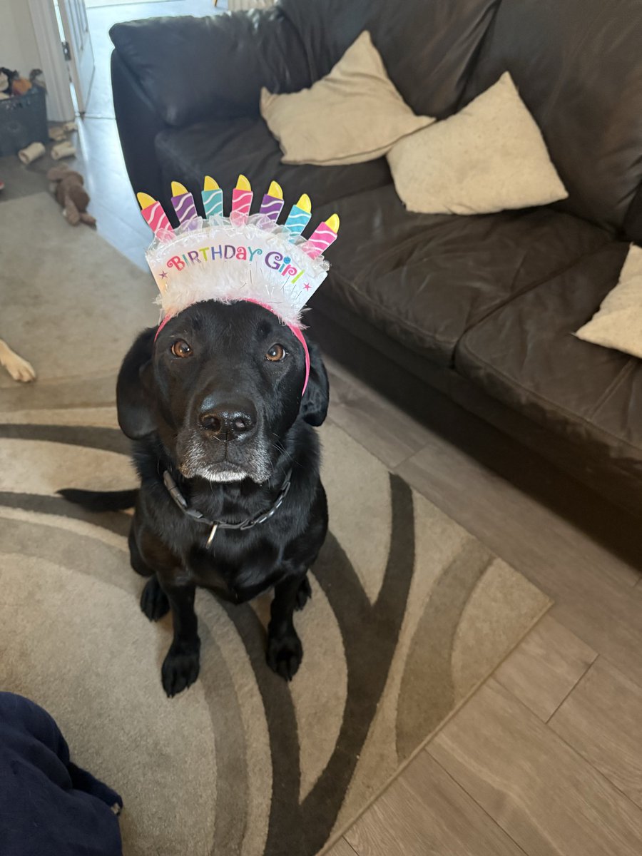 RemiAndDottie's tweet photo. #Remi’s 5th birthday party at https://t.co/ReyfW4jkcT with Dottie and Harvey. https://t.co/FwAnHY5swb