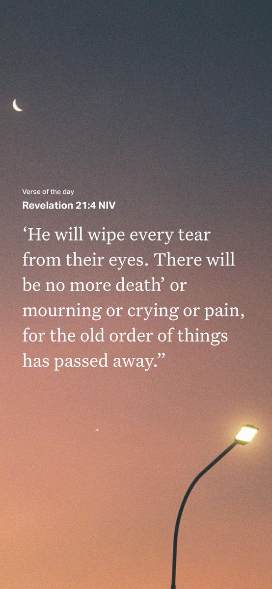AbetheShearer's tweet photo. https://t.co/BCvv9SJ2dc