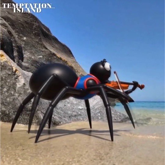 alessiadaniele8's tweet photo. In un mese il ragnetto ha:
-fatto tanti bagnetti 
-fatto sci d’acqua
-arrostito marshmallow 
-suonato il violino

PROVATE A NON DIRE DIVA

#temptationisland https://t.co/ewWntKVPyN