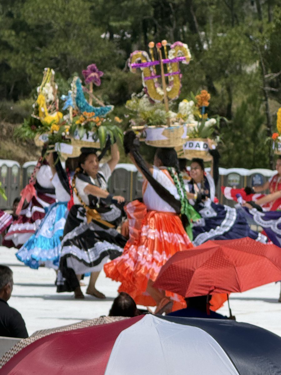 MAPEMO's tweet photo. Esta es la verdadera Guelaguetza de nuestro pueblos originarios. Basta de inventos!!!@TlaxiacoMX https://t.co/WjnadTsOD7
