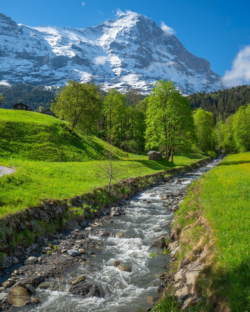 worldclick56's tweet photo. Switzerland 🇨🇭 https://t.co/FTDwqxBfDg