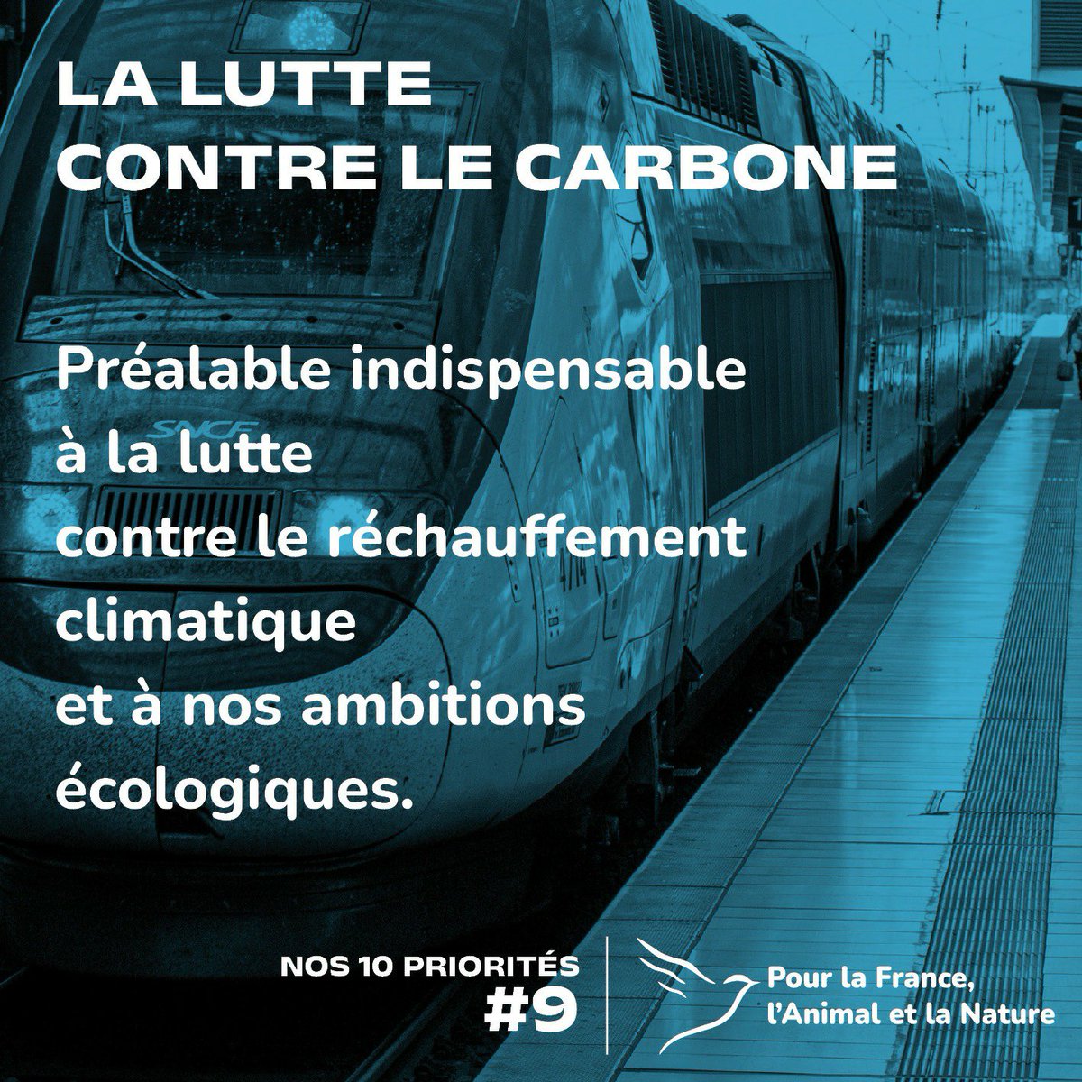 Parti_PFAN's tweet photo. Nos 10 priorités !

9/10 : la lutte contre le carbone.

Sortie des énergies fossiles, encouragement de l'innovation contre la consommation carbonée, maîtrise de la consommation, récupération des énergies perdues, maintien du nucléaire...

https://t.co/h4lLbsI3Zn https://t.co/Zugfgsbvji