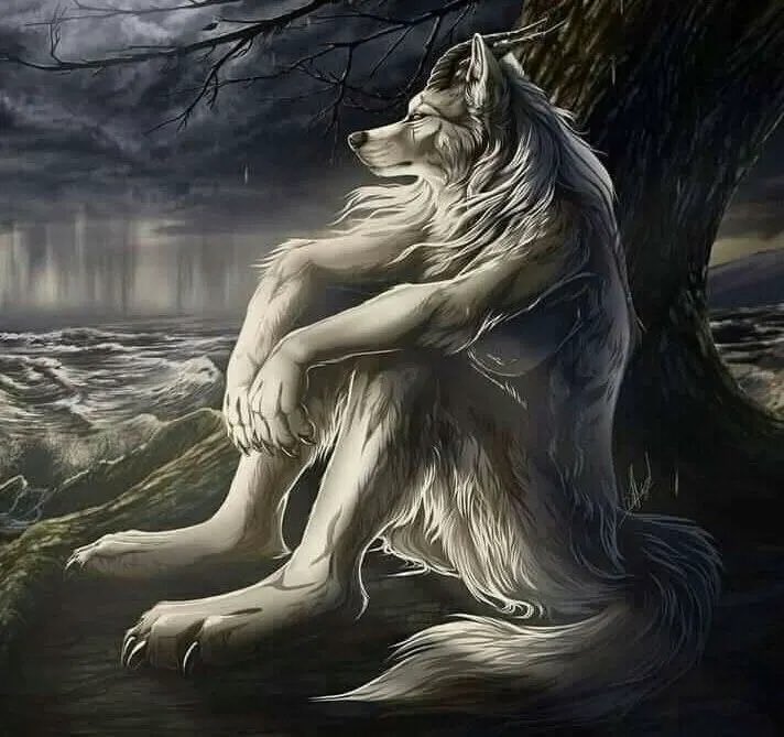 h0niess's tweet photo. Será que mi destino es ser una loba solitaria sin manada? https://t.co/azvLKExcAa