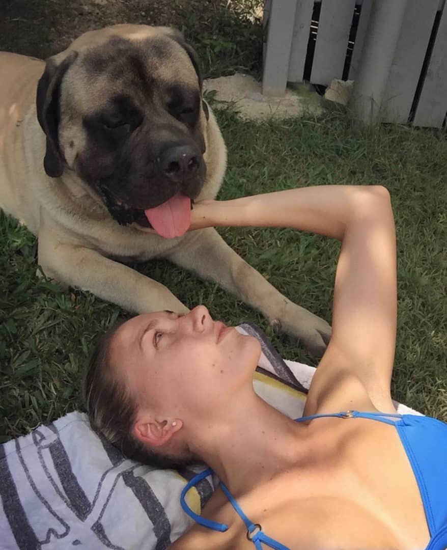 LauraJohnsokz's tweet photo. ❤️🐶💋❣️.
#dogmom #artofzoo #dogknotting #dogsofX #doglover https://t.co/ZdpP54e7JX
