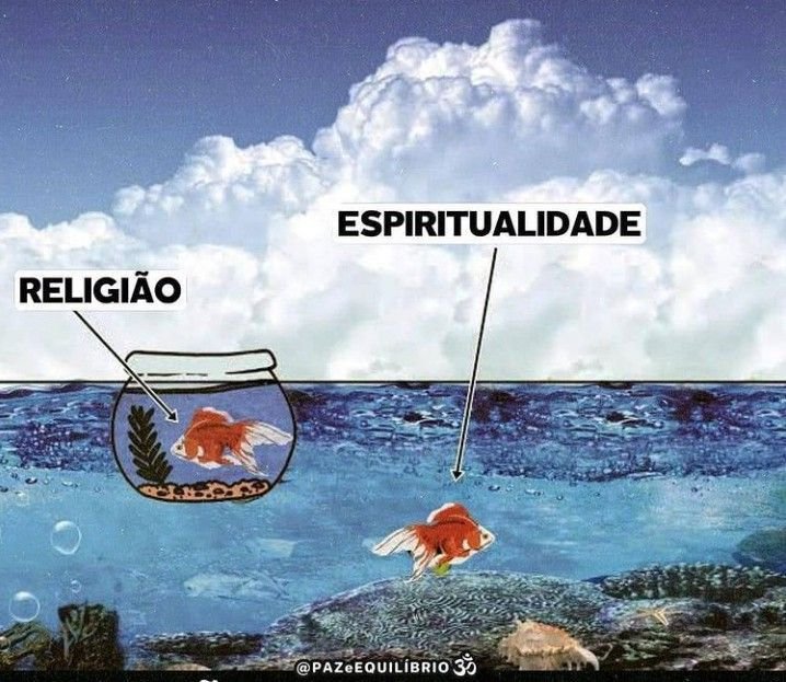 hachitarot's tweet photo. me sinto assim indo contra os vies da minha família https://t.co/ilCxBV5sV4