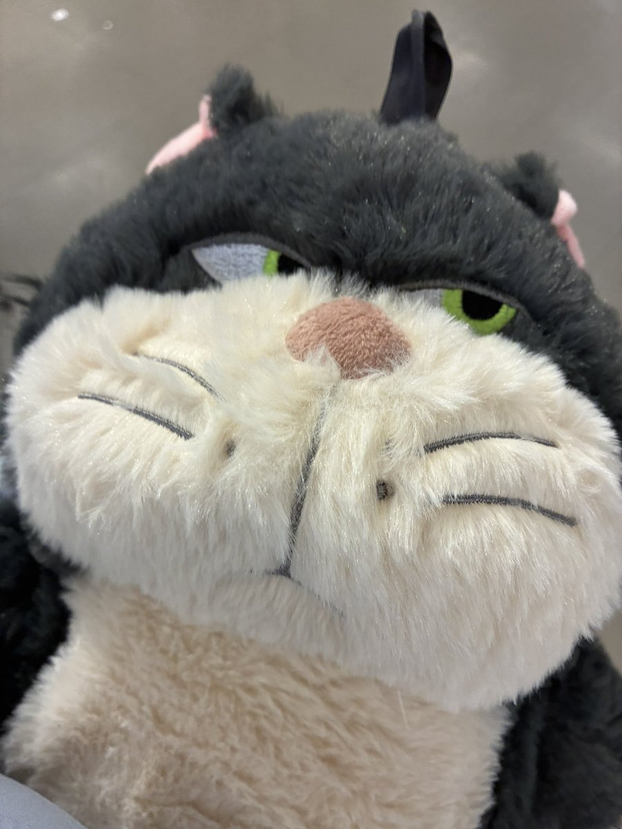 nemuk0__'s tweet photo. 🆕🏠の良いところ
・Zone1、バス停、駅まで徒歩10分以内
・Lidl近くにあり
・シェア、大家さん日本人
・職場から歩いて帰宅可能

悪いところ
・掃除がセルフ
・入居時から床歩くと足黒くなる
・シャワー水圧弱め
・共有リビングなく少し寂しい気持ち

ラブリーなシーツと湯たんぽゲットした🎶 https://t.co/J3mFg8XBlg