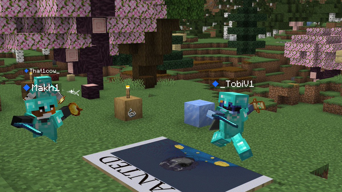 _tobiv1's tweet photo. The dancing ballerinas! #fluxsmp https://t.co/R2k8xya22s
