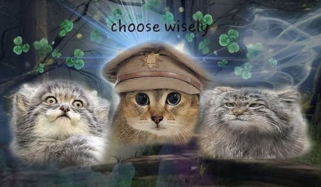 DailyMantle tweet media
