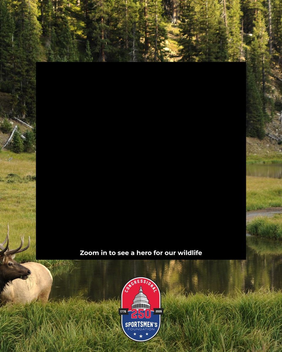 HunterandAngler's tweet photo. 🔍 Zoom in. 

The Hunt Fish 250 initiative honors our country’s outdoor heritage and calls attention to something just as important: these freedoms don’t protect themselves.
 
Zoom in. Then ask yourself what role you’ll play in protecting it all. 

Visit https://t.co/JkAbZ9ELtt https://t.co/NfTk9Gj7xF